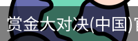 赏金大对决